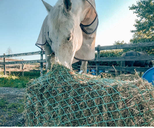 Nag Bag - Filet à petite balle carré