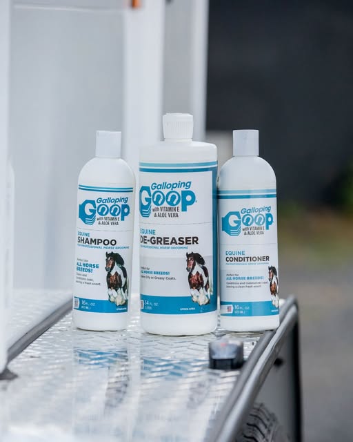 Dégraissant Liquide 1L