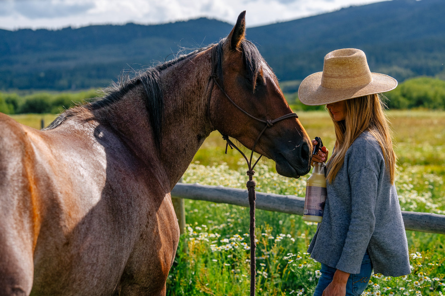 Chasse moustique 943ml