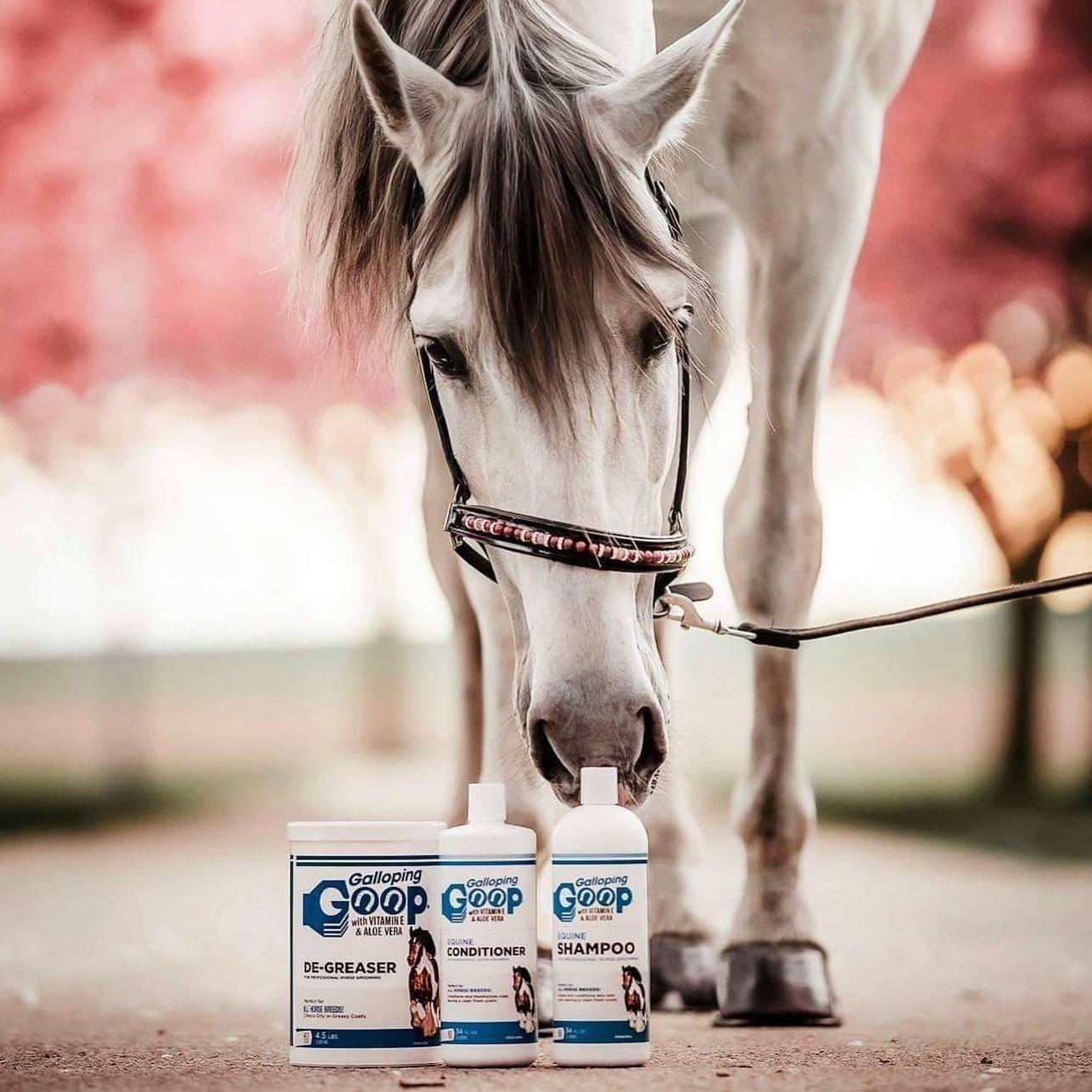 Shampooing Blanchissant 1L