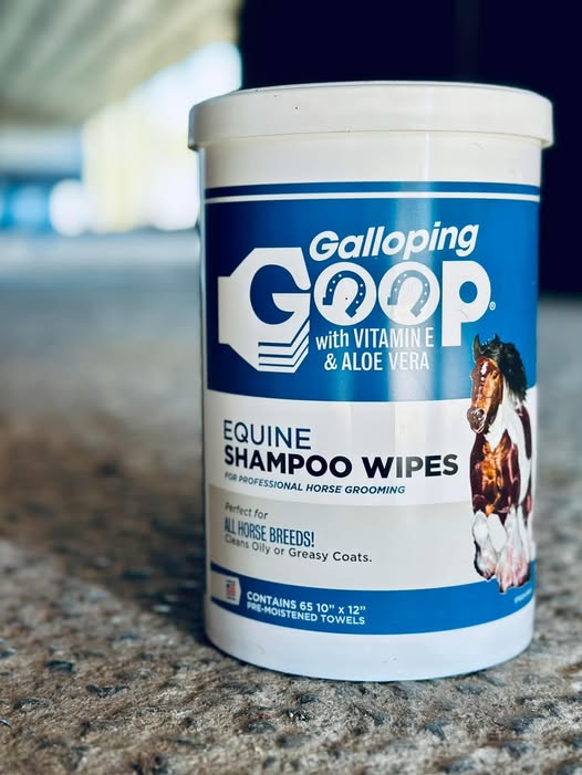 Lingettes (paquets de 150)