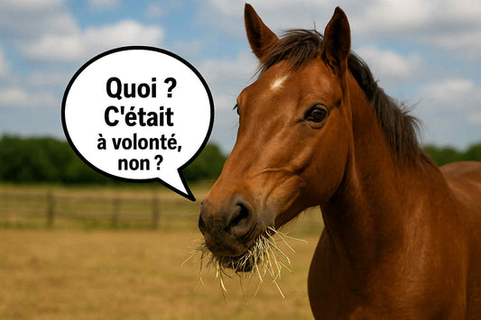 Et si ton cheval mangeait trop vite pour son propre bien ?  Voici 5 (et un petit bonus 😉) bonnes raisons de ralentir son alimentation 👇