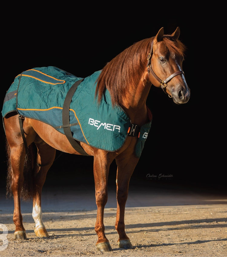 Bemer Horse-Set
