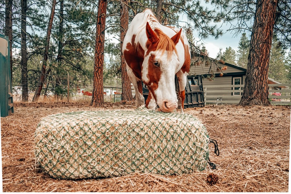 Nag Bag - Filet à petite balle carré