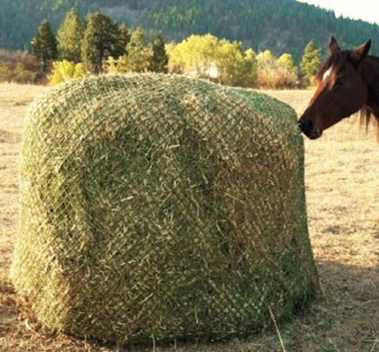 Nag Bag - Balle Carré XL