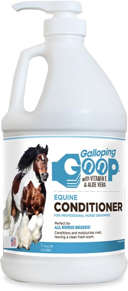 Conditionneur 3,8L