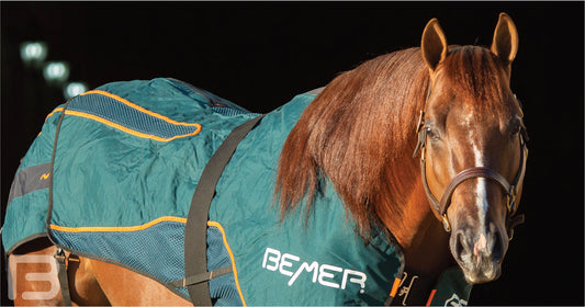 Bemer Horse-Set - Basic