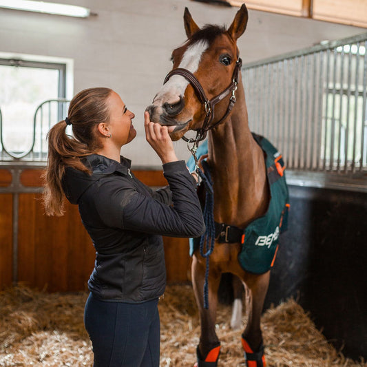 Séance Bemer Équine