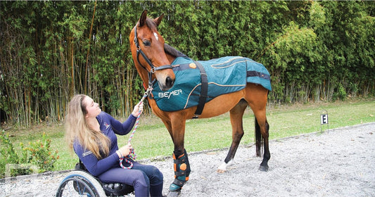 Bemer Horse-Set - Duo Guêtres