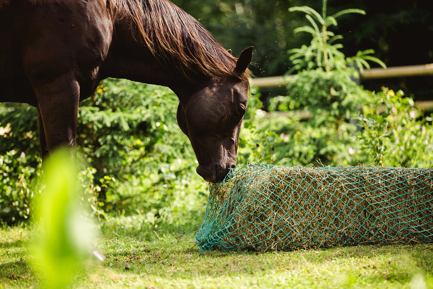 Nag Bag - Filet à petite balle carré