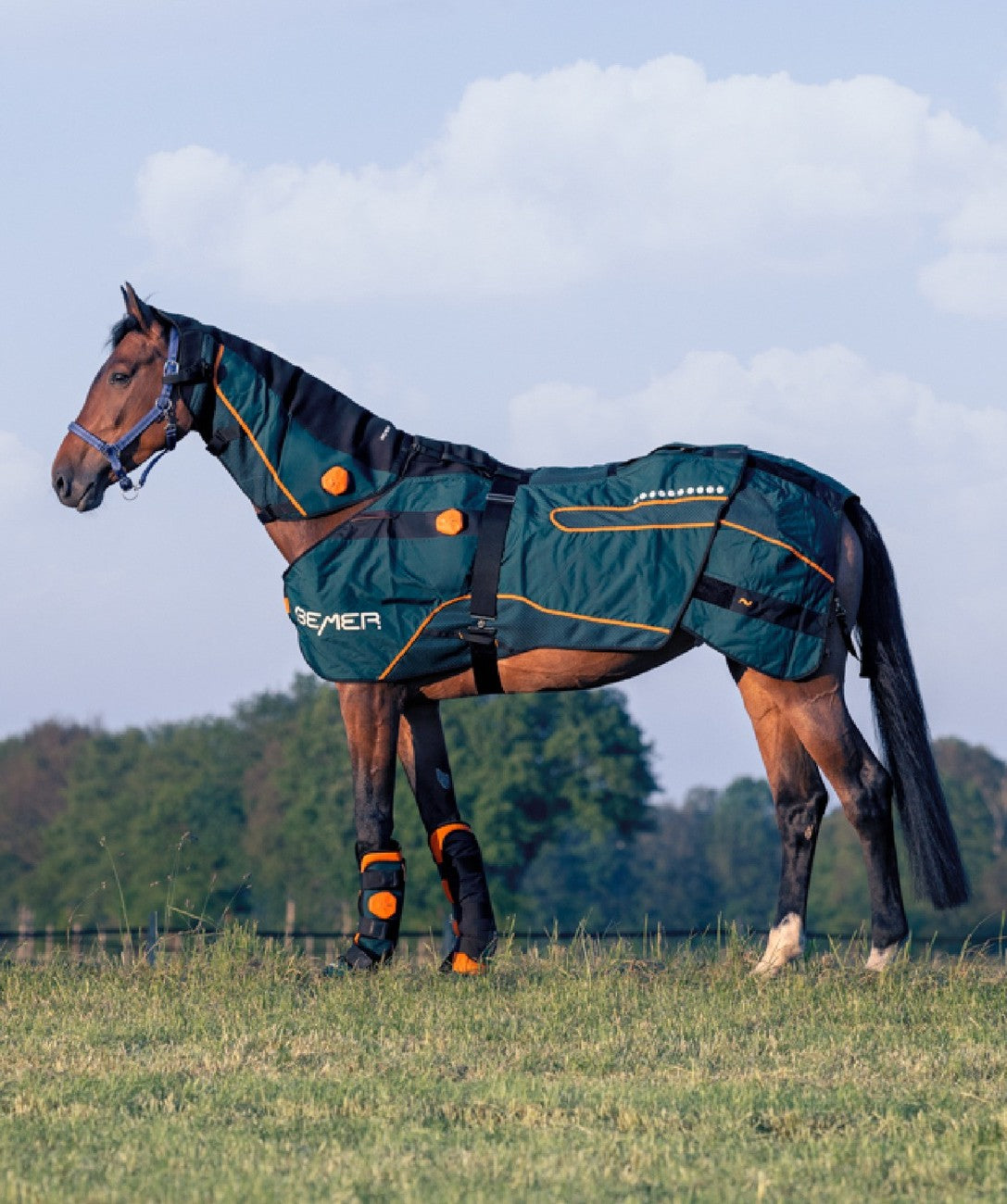 Bemer Horse-Set - Encolure