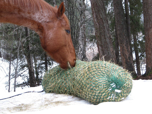 Nag Bag - Filet D'un Jour