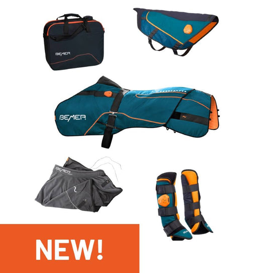 BEMER Horse-Set – Collection Complète