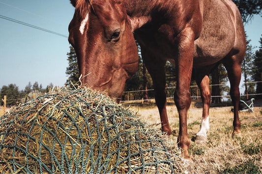 Nag Bag - Filet Suspendu