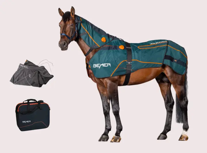 Bemer Horse-Set - Duo Encolure