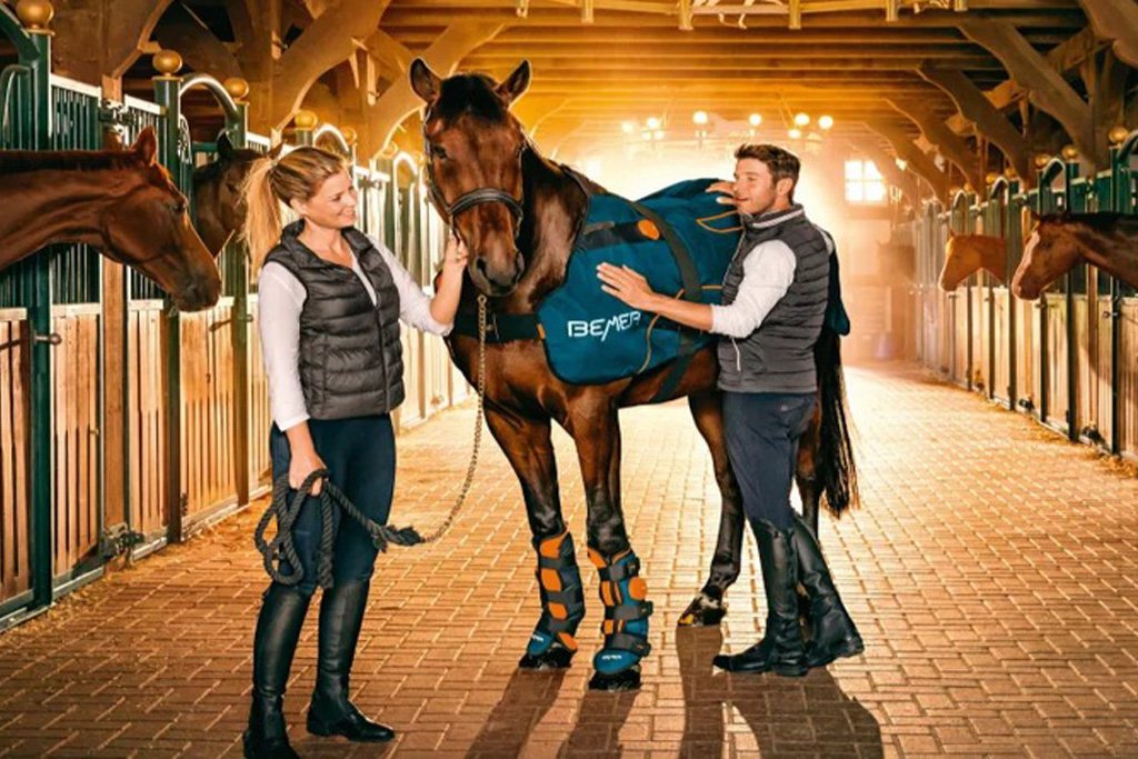 Bemer Horse-Set - Guêtres