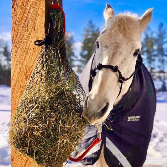 Nag Bag - Filet Pour Trailer